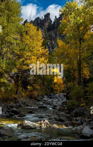 Fall colors along the epic North Fork of the Boise River, Boise National Forest, Idaho, USA Stock Photo