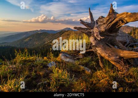 Ridgeline Sunset - Salmon River Mountains near McCall, Idaho, USA Stock Photo