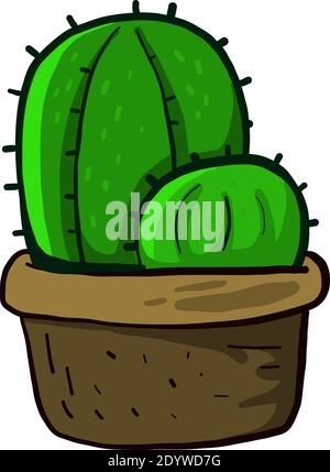 Two cactuses in a pot, illustration, vector on a white background. Stock Vector