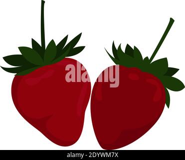 Two red strawberries, illustration, vector on a white background. Stock Vector