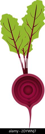 Red beetroot, illustration, vector on a white background. Stock Vector