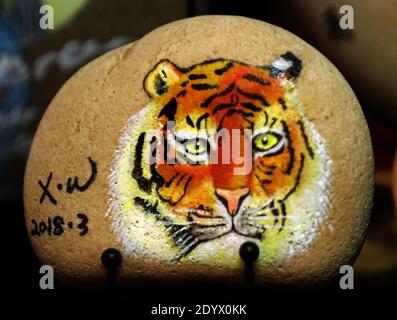 December 28, 2020, Yantai, Yantai, China: Shandong,CHINA-A fishing girl from Yantai city, Shandong Province, who has loved painting since childhood, started to create stone paintings on her collection of Ball stones on Changdao Island in 2017...A picture of animals, landscape paintings and other show on the stone, small and lovely, lifelike...Many friends came to order. (Credit Image: © SIPA Asia via ZUMA Wire) Stock Photo