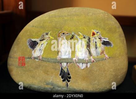 December 28, 2020, Yantai, Yantai, China: Shandong,CHINA-A fishing girl from Yantai city, Shandong Province, who has loved painting since childhood, started to create stone paintings on her collection of Ball stones on Changdao Island in 2017...A picture of animals, landscape paintings and other show on the stone, small and lovely, lifelike...Many friends came to order. (Credit Image: © SIPA Asia via ZUMA Wire) Stock Photo