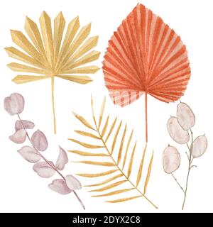 Dried tropical leaves set isolated on white background. Stock Photo
