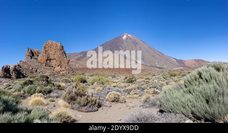 Volcanic landscape with bushes at the Mount Teide on Tenerife island Stock Photo
