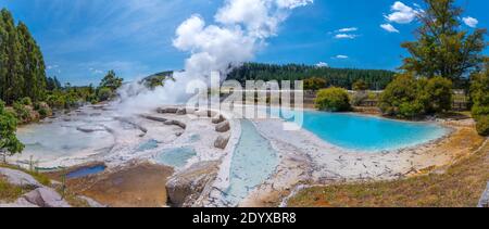 Geyser at Wairakei Terraces in New Zealand Stock Photo