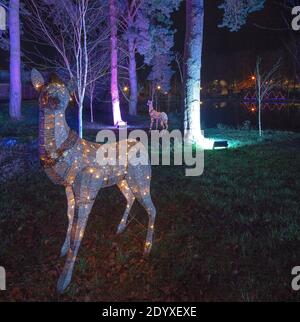 Christmas lights at The Alnwick Garden, Alnwick, Northumberland, England, United Kingdom Stock Photo