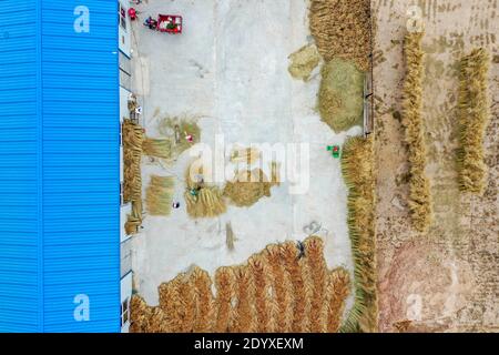 (201228) -- YINCHUAN, Dec. 28, 2020 (Xinhua) -- Aerial photo shows Li Yaomei and her workers making brooms at the factory in Longyuan Village of Hongsibao District in Wuzhong City, northwest China's Ningxia Hui Autonomous Region, Oct. 27, 2020. Xihaigu, a largely mountainous region in central-southern Ningxia, was once inflicted by deep poverty and labeled the 'most unfit place for human settlement' by the United Nations in the 1970s due to land reclamation, drought, and a fragile ecological environment. On Nov. 16, 2020, Xihaigu historically bid farewell to absolute poverty, during which 'she Stock Photo