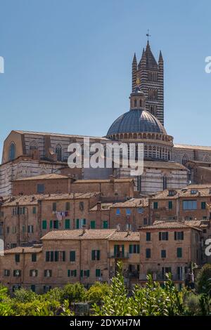 View of city skyline including the Duomo, Cathedral, Siena, Tuscany, Italy, Europe