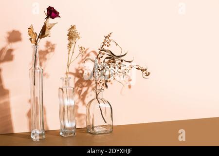 Dry flowers and branches in crystal jars on a pink background Stock Photo
