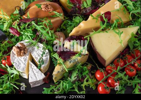 cheese background. Assortment different types cheese with walnuts, tomato and grapes on black slate background. blue cheese Dorblu, smoked, brie, Maas Stock Photo