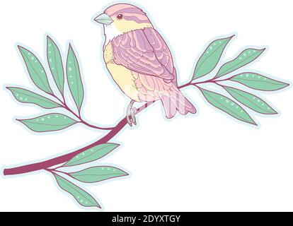 Pastel sparrow on a branch Stock Vector