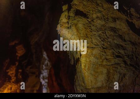 Glowworms at Ruakuri cave in New Zealand Stock Photo