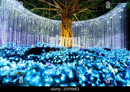 The man standing with blue lighting tunnel with reflection on ground Stock Photo