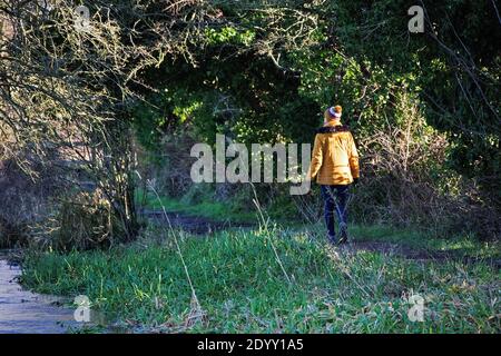 A landscape view of Letcombe Brook, East Hanney, Wantage, Oxfordshire, UK and surroundings with a young woman walking along a path towards woodland. Stock Photo