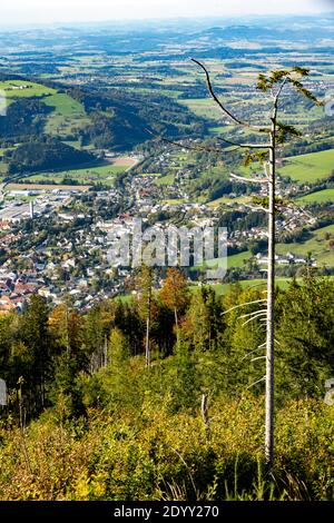 Österreich, Niederösterreich, Scheibbs, Blick vom Greinberg auf die Stadt Stock Photo