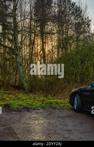 A beautiful golden sunset behind trees in a forest. Photo from Eslov, Scania county, Sweden Stock Photo