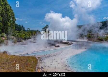 Geyser at Wairakei Terraces in New Zealand Stock Photo