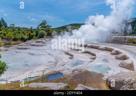 Geyser at Wairakei Terraces in New Zealand Stock Photo