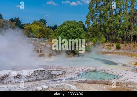 Geyser at Wairakei Terraces in New Zealand Stock Photo