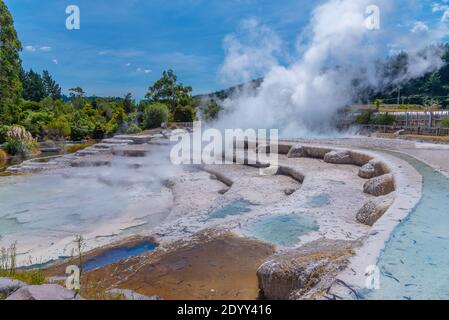 Geyser at Wairakei Terraces in New Zealand Stock Photo