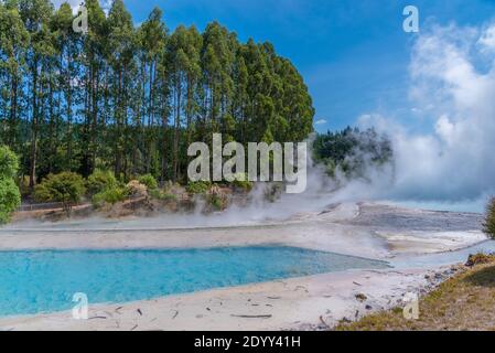 Geyser at Wairakei Terraces in New Zealand Stock Photo