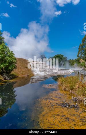 Geyser at Wairakei Terraces in New Zealand Stock Photo