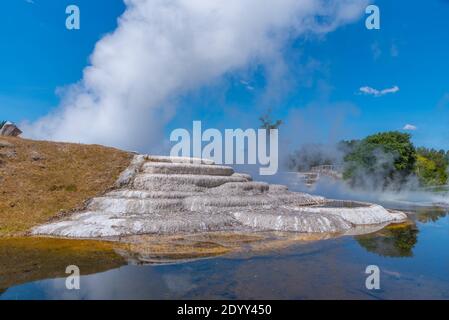 Geyser at Wairakei Terraces in New Zealand Stock Photo