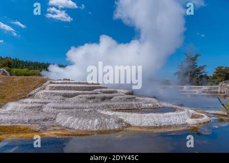 Geyser at Wairakei Terraces in New Zealand Stock Photo