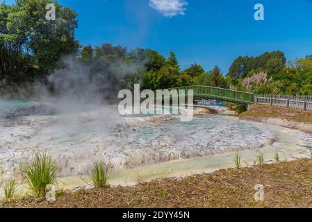 Geyser at Wairakei Terraces in New Zealand Stock Photo