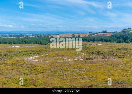 Craters of the moon - a geothermal landscape at New Zealand Stock Photo