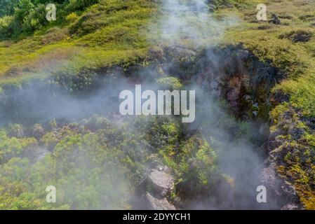 Craters of the moon - a geothermal landscape at New Zealand Stock Photo