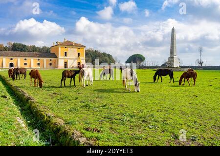 Visit to the Borbonica Royal Palace of Carditello Stock Photo