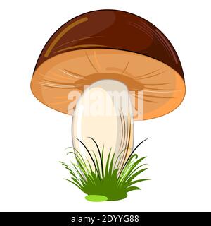 Mushroom. Isolated on white background. Cute cartoon style. Beautiful illustration. With grass. Stock Photo
