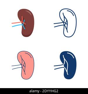 Spleen icon set in flat and line style. Human internal organ symbol. Vector illustration. Stock Vector