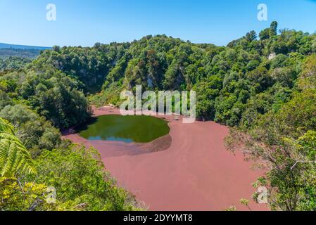 Southern crater lake at Waimangu volcanic valley in New Zealand Stock Photo