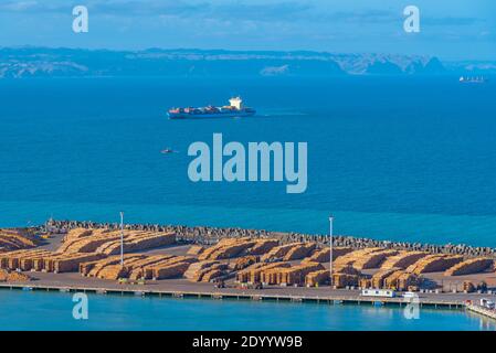 Wooden logs stored at the port of Napier, New Zealand Stock Photo