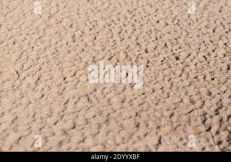 Natural texture of sand surface after the rain Stock Photo