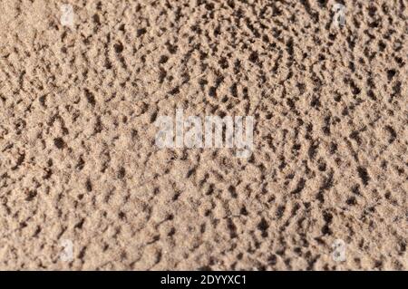 Brown sand after rain drops texture background Stock Photo - Alamy