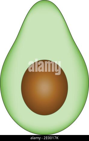 Avocado on white isolated background. Stock Vector