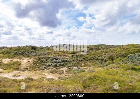 Landscape Nationaal Park Hollandse Duinen with dunes and wild nature under a clouded sky in Meijendel at the Dutch coast Stock Photo
