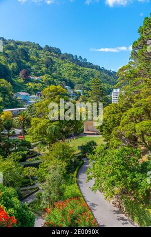 Colorful plants at Wellington Botanic garden in New Zealand Stock Photo ...