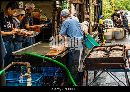 At the water table in the open-air area of the Kanesa katsuobushi manufactory, a worker in a blue cap bends over a bonito half while colleagues work at a green crate in the background. Nishiizu-Cho, Shizuoka Prefecture, Japan. Stock Photo