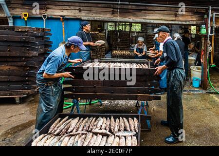 A worker pushes a tray filled with cooked bonito halves across the concrete floor while colleagues prepare fish pieces in the background. Kanesa katsuobushi manufactory, Nishiizu-Cho, Shizuoka Prefecture, Japan. Stock Photo