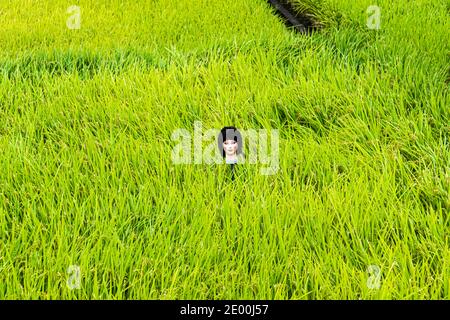 Scarecrow made of mannequin head in Rice Paddies