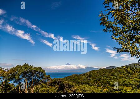 Cloud-wrapped Mount Fuji rises above Suruga Bay, framed in the foreground by the branches of a roadside tree on the Izu Peninsula. Shizuoka Prefecture, Japan. Stock Photo