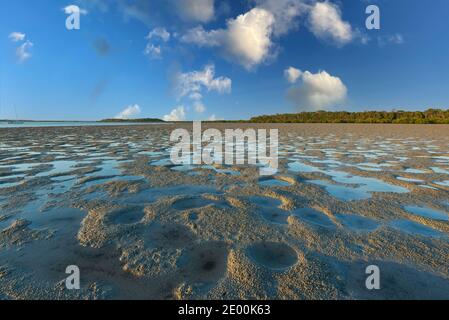 Scenic view of Rainbow Beach at low tide, Queensland, QLD, Australia Stock Photo