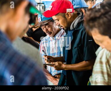 Fish Auction in Yaidu, Japan Stock Photo