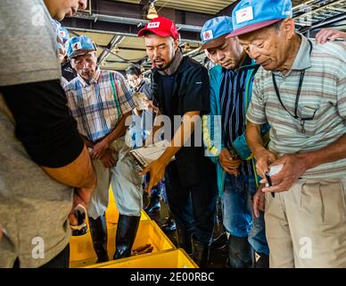 Fish Auction in Yaidu, Japan Stock Photo