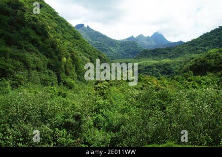 Lush green mountains in Te Faaiti Natural Park. Tahiti - near Papeete. Stock Photo